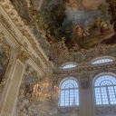 ❀° 𝑊𝑖𝑙𝑙𝑜𝑤𝑠𝑏𝑙𝑜𝑜𝑚 °❀ Discord server icon