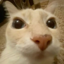 Secret base Discord server icon