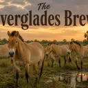 The Everglades Brew🌱