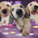 condom broke we awoke Discord server icon