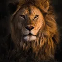 Lion's Den HWA