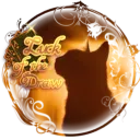 Luck of the Draw .☘ ݁˖