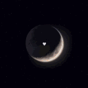 🌙. Starlight™ | Global, Social + Giveaways & Events!