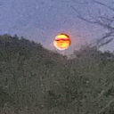 the gallery Discord server icon