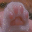 Pawtopia