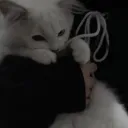 @𝐀𝐧𝐠𝐥𝐬 ‘