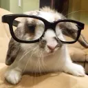 paraiso gateway discord icon