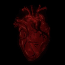 Dissected Hearts Discord server icon