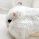 Poly bpd search ♡♡ Discord server icon