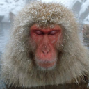 NAUSEA Discord server icon