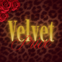 Velvet Privé 🍸 | boost pls! Discord server icon