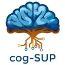 Cog-SUP 2026-28
