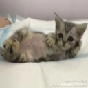 KRAZYYY Discord server icon