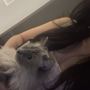 /tele Discord server icon