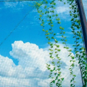 ⣿     .     ぴぽぴぽ Discord server icon