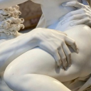 Quinn’s Piggies! Discord server icon