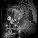 ྀིྀ𓂃 ࣪˖ ִֶ♱𝘉𝘭𝘢𝘤𝘬 𝘳𝘰𝘴𝘦𝘴𓂃 ࣪˖ ִֶ♱ ྀིྀ REMODEL Discord server icon