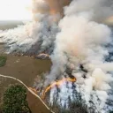 The Florida Fire Server