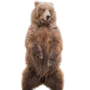 Gorp