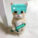1B no sos | Cat Fan Club discord icon