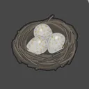 PluralNest development