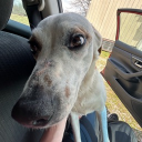 looking!! Discord server icon