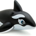 OORCA