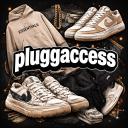pluggaccess backup