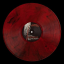 sanctuary cuties Discord server icon