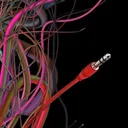 DIFFERENTLY WIRED ABODE
