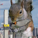 the chipmunks Discord server icon