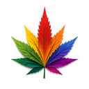 LGBTHC Discord server icon