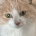 The yui shrine 2 ( back up ) Discord server icon