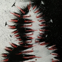 Nicest Vices Discord server icon