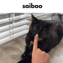 Our little corner Discord server icon