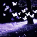 ‧₊˚ ☽ ⋅ Fae Gathering 21+ ☾ server icon
