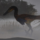 Austro Paradise Discord server icon