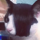 ⛧ 𝕻𝖚𝖇𝖑𝖎𝖈 𝖁𝖔𝖎𝖉 ⛧ Discord server icon