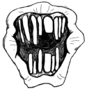 When Rabbit Howls Discord server icon