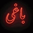 BAAGHI・باغی