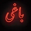 BAAGHI・باغی
