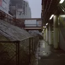 ╰⋆˚꩜｡ 𐔌City cats 𐦯