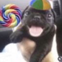 Silly server ཐི⋆♱⋆ཋྀ Discord server icon