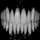 The freedom lounge Discord server icon