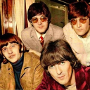 𝐍𝐨𝐫𝐰𝐞𝐠𝐢𝐚𝐧 𝐖𝐨𝐨𝐝 ! 🧡 Discord server icon