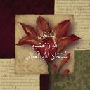 Majlis al-Tawḥīd wa al-Sunnah