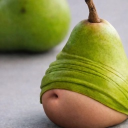 fat pear 3 Discord server icon