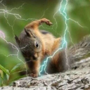 Thunder clan