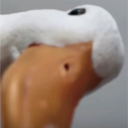 🦆오리 연못