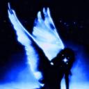 ,,   .ﾉ ♯  OrbitPhoria 𓂃 ᛝ